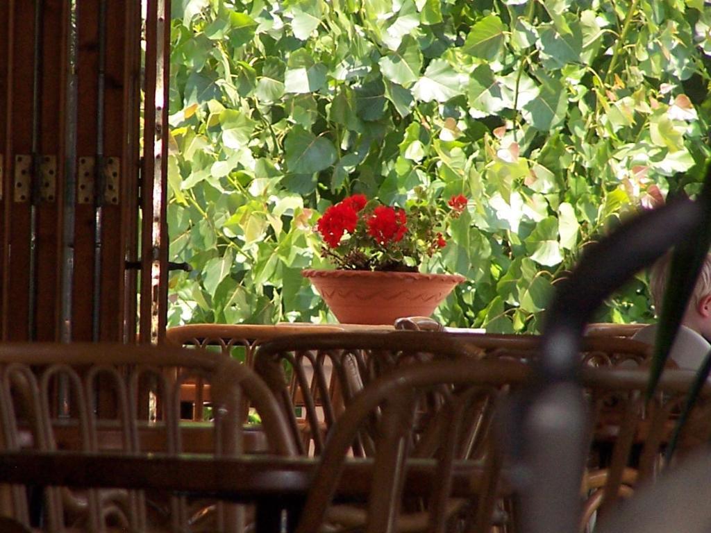 Perros Hotel Agios Stefanos Avliotes  Room photo