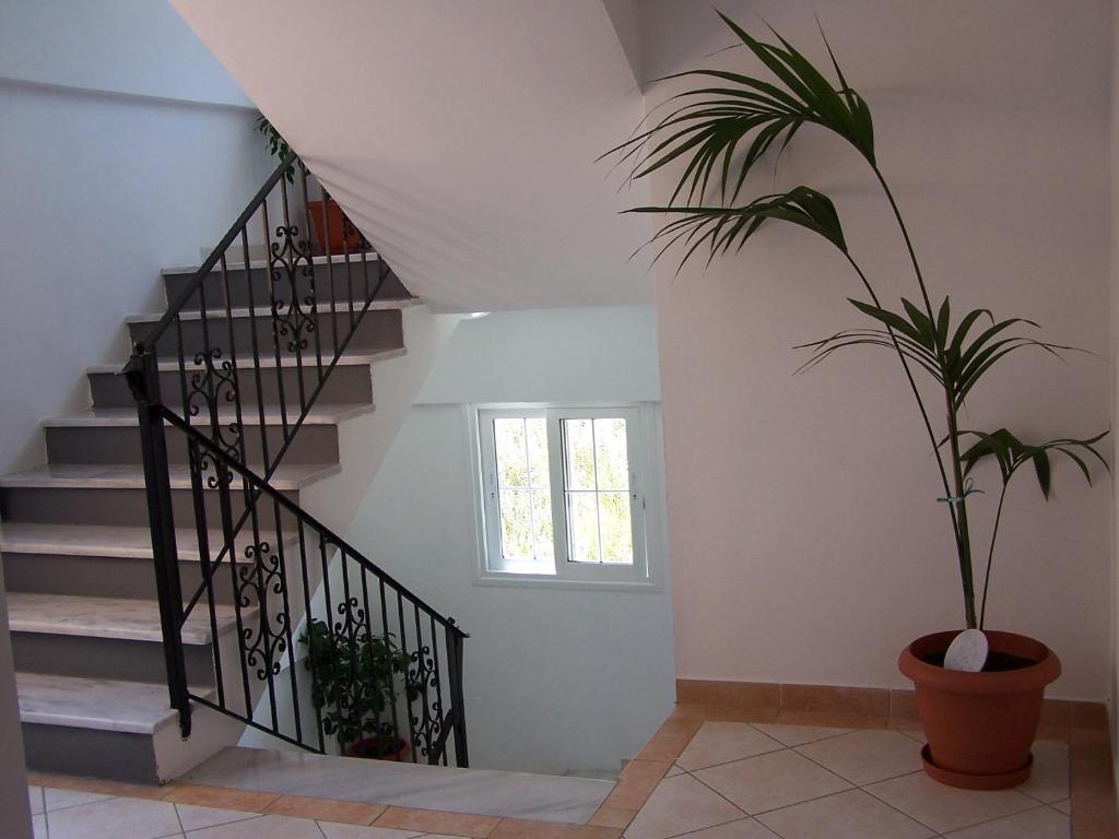 Perros Hotel Agios Stefanos Avliotes  Exterior photo